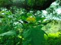 video clip 680605