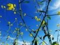 video clip 680609