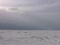 video clip 682285