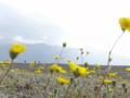 video clip 685195
