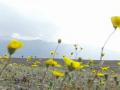 video clip 685327