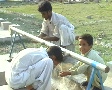 video clip 693351