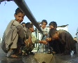 Kids Washing themselves at Refugee Camp Video
