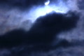 video clip 696309