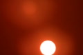 video clip 696355