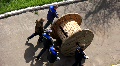 video clip 698841
