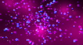 video clip 706357