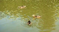 video clip 716797