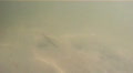 video clip 723083