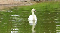 video clip 726707