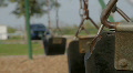 Lonely Swing Seat