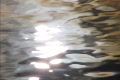 video clip 730145