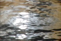 video clip 730161