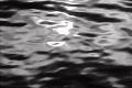 video clip 730171