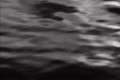 video clip 730173