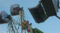 video clip 731073