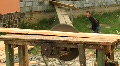 video clip 731507