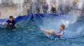 video clip 737161