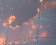 video clip 737539