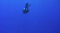 video clip 738991