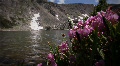 video clip 769227