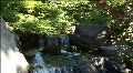 video clip 770439