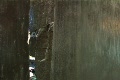 video clip 770575