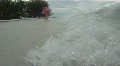 video clip 770579