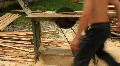 video clip 790755