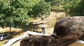 video clip 790765