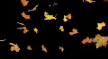 Falling looped leaves v2