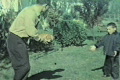 Father and cute little boy play football in suburban backyard