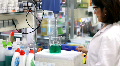 Chemical Engineer Working With Chemicals