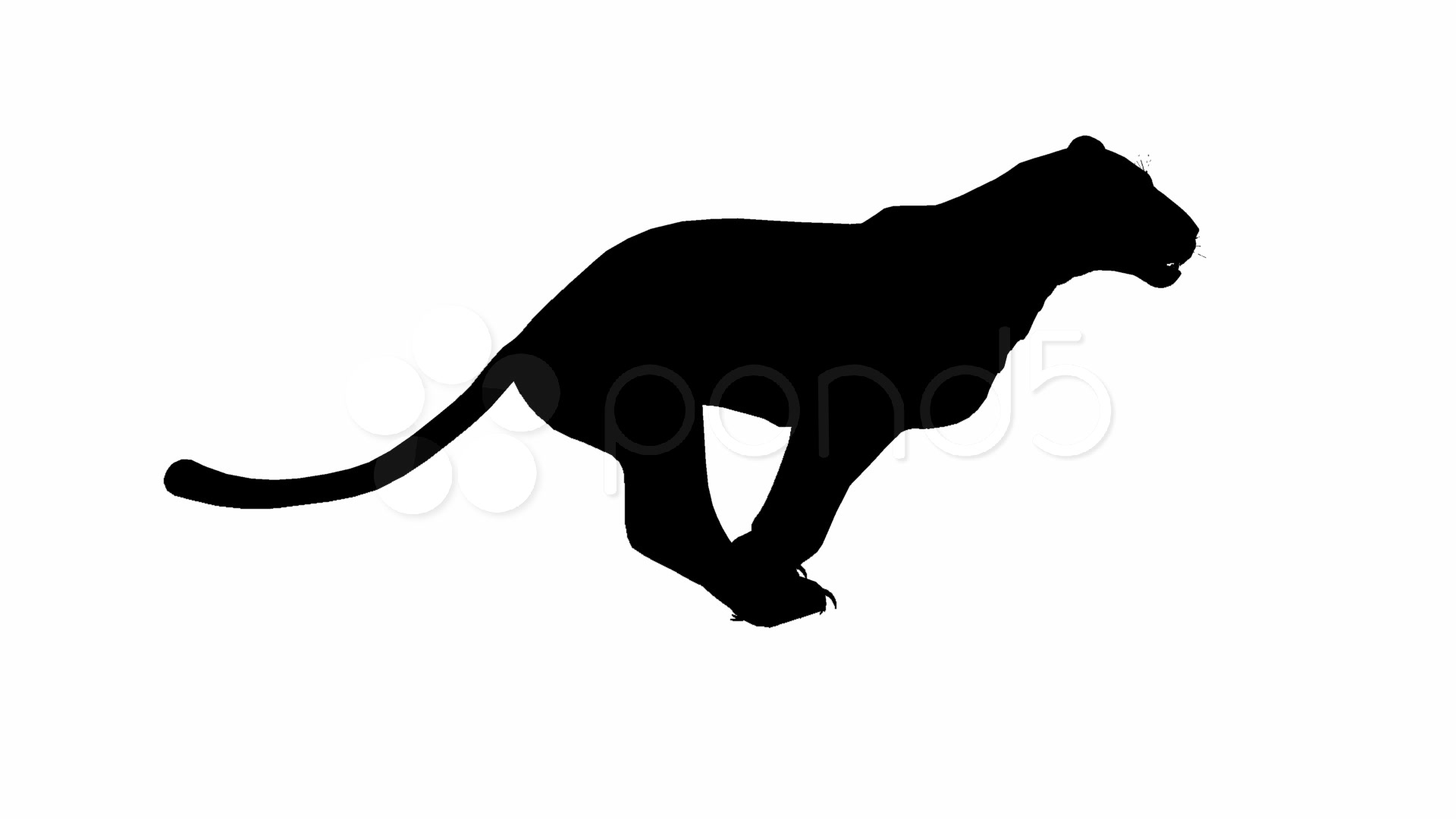jaguar silhouette clip art - photo #18