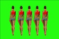video clip 846923