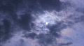 video clip 856735