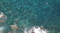 Water 4593 Video