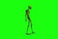 video clip 907383