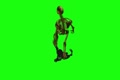 video clip 907413