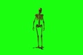 video clip 907417