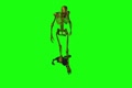 video clip 907441
