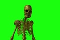 video clip 907465