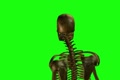 video clip 907467