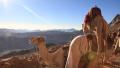 video clip 952285
