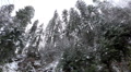 video clip 956411