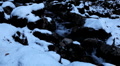 video clip 957587