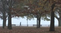 Park in the Fall