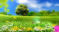 Ecology