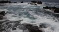 Reef 4754 Video