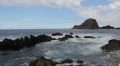 Reef 4758 Video